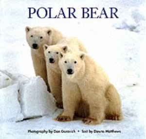 Image of Polar Bear by Downs Matthews and Dan Guravich Book