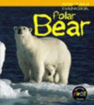Image of Polar Bear by Rod Theodorou Paperback