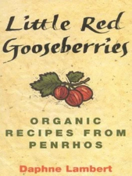 Image of Little Red Gooseberries by Daphne Lambert Hardback