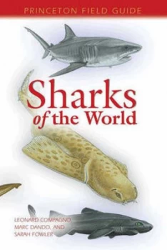 Image of Sharks of the World by Leonard Compagno Book