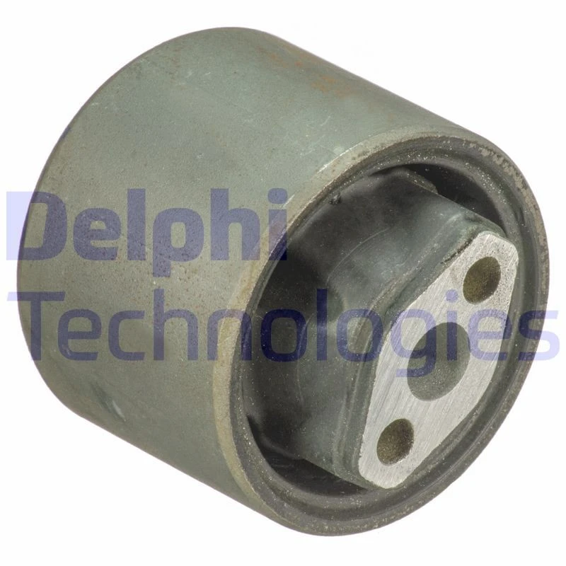 Image of DELPHI Trailing arm / Suspension arm bush DELPHI TD1743W