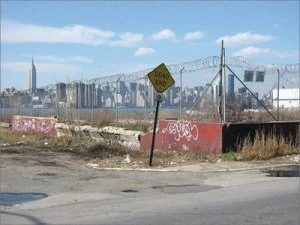 Image of Brooklyn by Liz Farrelly Paperback