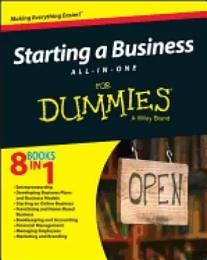 Image of starting a business all in one for dummies
