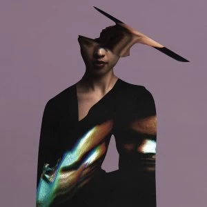 Image of Plaitum - Constraint Vinyl