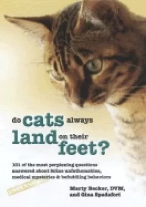 Image of do cats always land on their feet