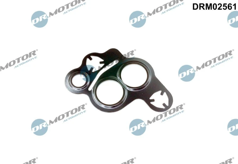 Image of DR.MOTOR AUTOMOTIVE EGR valve gasket DR.MOTOR AUTOMOTIVE DRM02561
