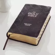 Image of kjv holy bible giant print standard size dark brown faux leather w thumb in