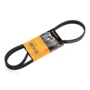 Image of CONTITECH V-ribbed belt FORD,FIAT,HYUNDAI 6PK1256 55202378,71744462,71746482 2383420,KK2Q6C301BA,252122B020,252122B120,252122B140,252122B720,9146117