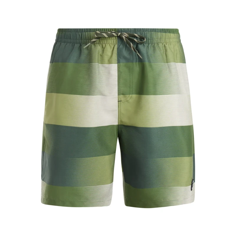 Image of Protest Swim shorts Protest Lomond Vert Male S