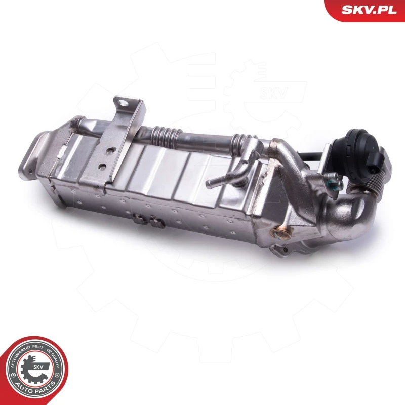 Image of ESEN SKV EGR valve ESEN SKV 14SKV239