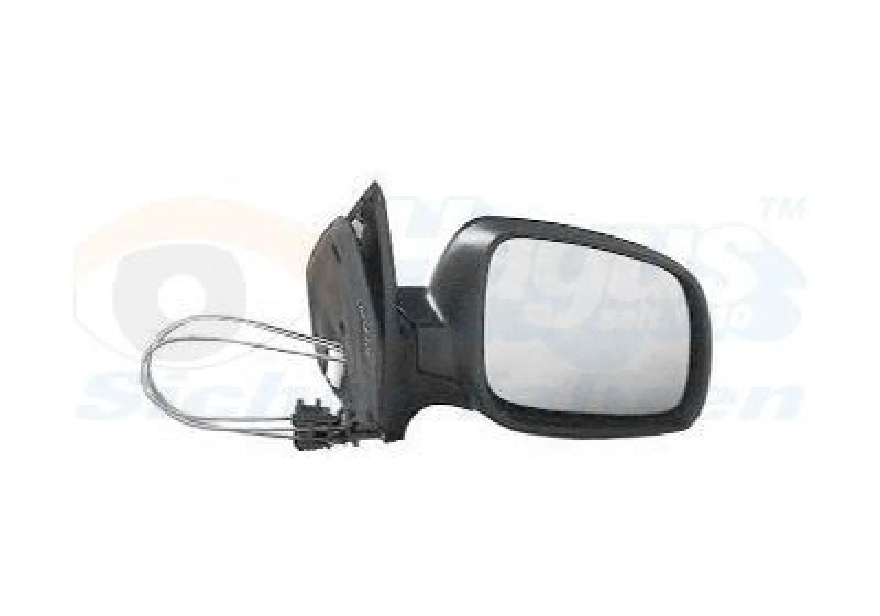 Image of VAN WEZEL Wing mirror VAN WEZEL 5888804