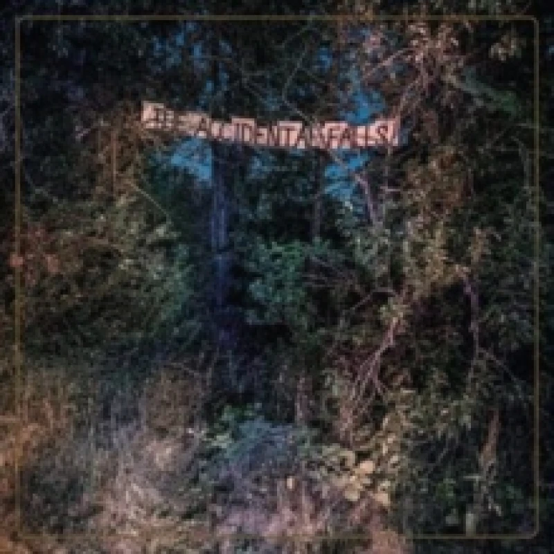 Image of The accidental falls CD / Album