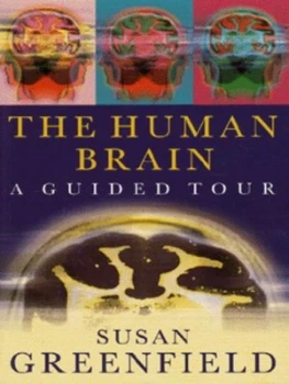 Image of The Human Brain by Susan Greenfield Paperback