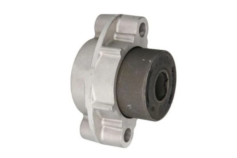 Image of REINHOCH Trailing arm / Suspension arm bush REINHOCH RH15-0022