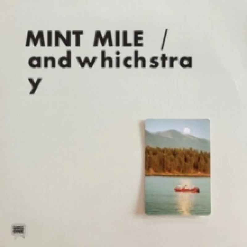 Image of andwhichstray Vinyl