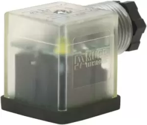 Image of Murrelektronik Limited 2P+E DIN 43650 A, Male DIN 43650 Solenoid Connector, 24 V Voltage