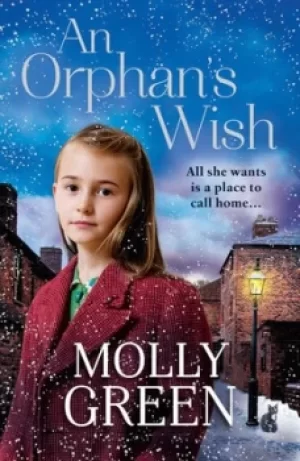 Image of An orphans wish by Molly Green
