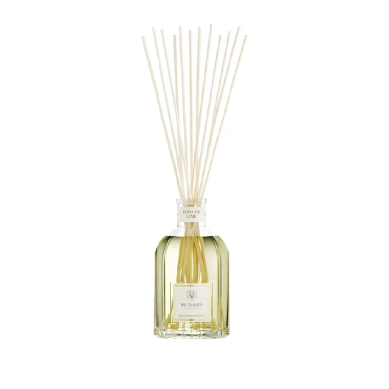 Image of Dr. Vranjes Firenze Ginger Lime Diffuser, 8.4 oz.