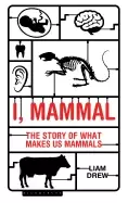 Image of i mammal
