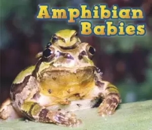 Image of Amphibian babies by Catherine Veitch
