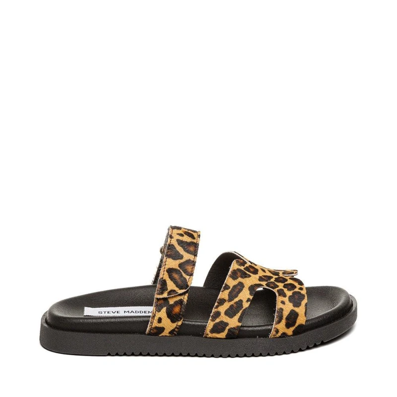 Image of Steve Madden Missile-L Zebra Sandals Womens - Multi Multi 4