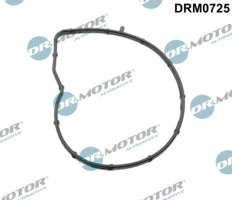Image of DR.MOTOR AUTOMOTIVE Gasket, water pump DR.MOTOR AUTOMOTIVE DRM0725