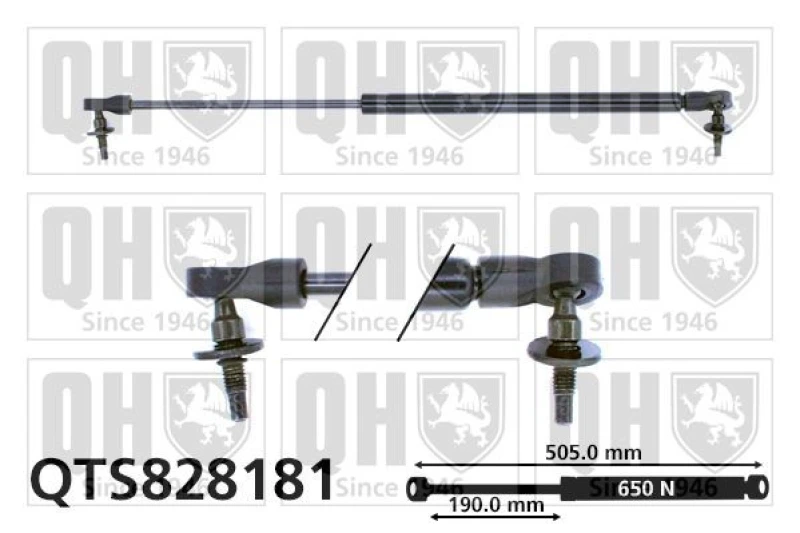 Image of QUINTON HAZELL Tailgate strut QUINTON HAZELL QTS828181
