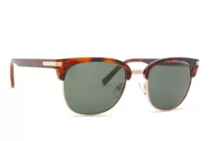 Image of Polaroid PLD 2076/S 086 UC 53