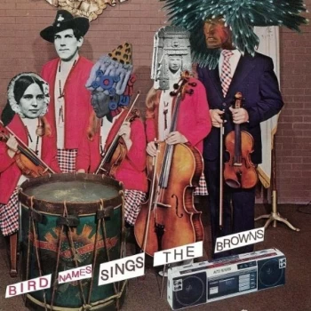 Image of Bird Names - Sing The Browns Vinyl