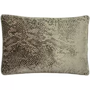 image of Paoletti Python Snakeskin Print Velvet Piped Edge Cushion Cover, Champagne, 40 x 60 Cm