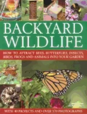 Image of backyard wildlife