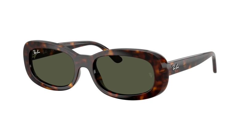 Image of Ray-Ban 0Rb2221 Oval Sunglasses - Brown Brown WUF8X Female