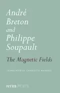 Image of magnetic fields