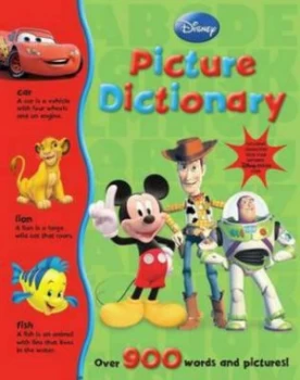 Image of Picture Dictionary by Thea Feldman Hardback