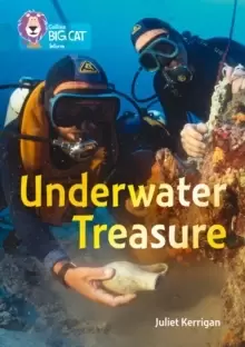 Image of Underwater Treasure : Band 13/Topaz