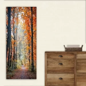 Image of DKY114035173_50120 Multicolor Decorative Canvas Painting