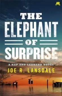 Image of The Elephant of Surprise