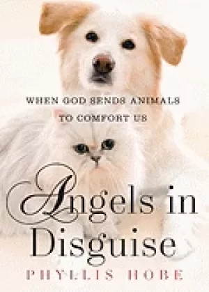 Image of angels in disguise when god sends animals to comfort us