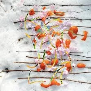Image of Tomutonttu - Kevatjuhla Vinyl