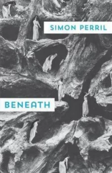 Image of beneath by Simon Perril Paperback