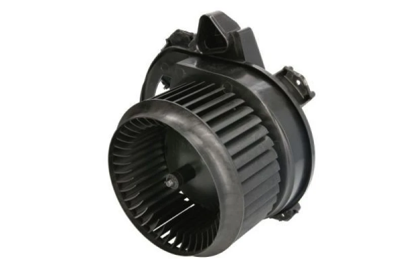Image of THERMOTEC Blower motor THERMOTEC DDM028TT