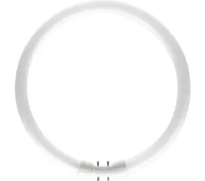 Image of Philips 60W TL5 Circular Tube Halogen 60W E11 - 64261525
