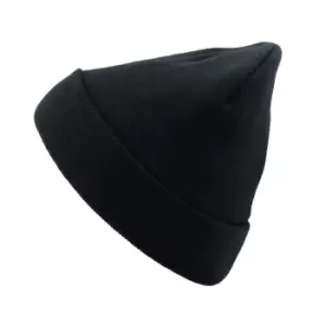 Image of Atlantis Pier Thinsulate Thermal Lined Double Skin Beanie (One Size) (Navy)