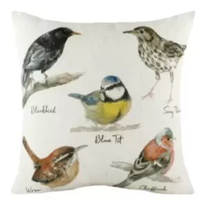 Image of Species Birds Cushion Multicolour, Multicolour / 43 x 43cm / Cover Only