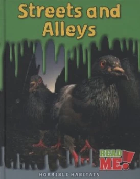Image of Streets and Alleys by Sharon Katz Cooper Hardback