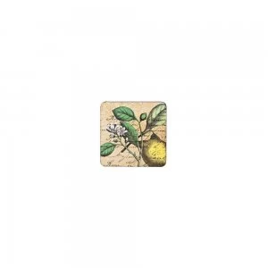 Image of Denby Classic Lemon Coasters Set of 6