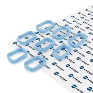 Image of DR.MOTOR AUTOMOTIVE Gasket Set, intake manifold DRM057S FORD,FIAT,PEUGEOT,MONDEO III Kombi (BWY),TRANSIT MK-7 Kasten,RANGER (TKE),MONDEO III (B5Y)