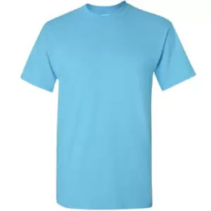 image of Gildan Mens Ultra Cotton Short Sleeve T-Shirt (S) (Sky)