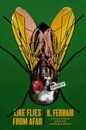Image of like flies from afar