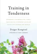 Image of training in tenderness buddhist teachings on tsewa the radical openness of